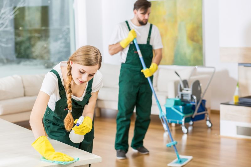 Kitchen Cleaning in Redmond, WA